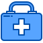 software development company